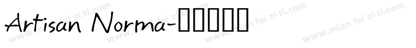 Artisan Norma字体转换